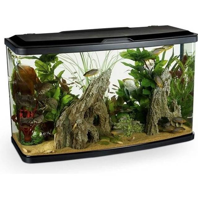 Marina Vue 87L - Aquarium Setup