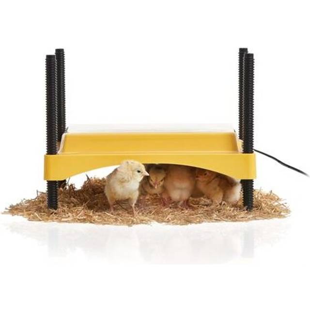 Eco Glow Safety 600 Chick Brooder
