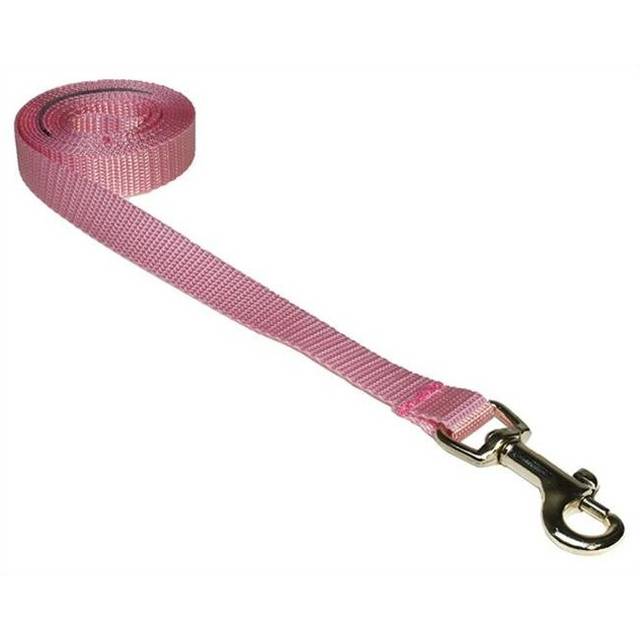 Sassy Dog Wear SOLID PINK XS-L 4 ft. Nylon Webbing Dog Leash, Pink - Extra Small