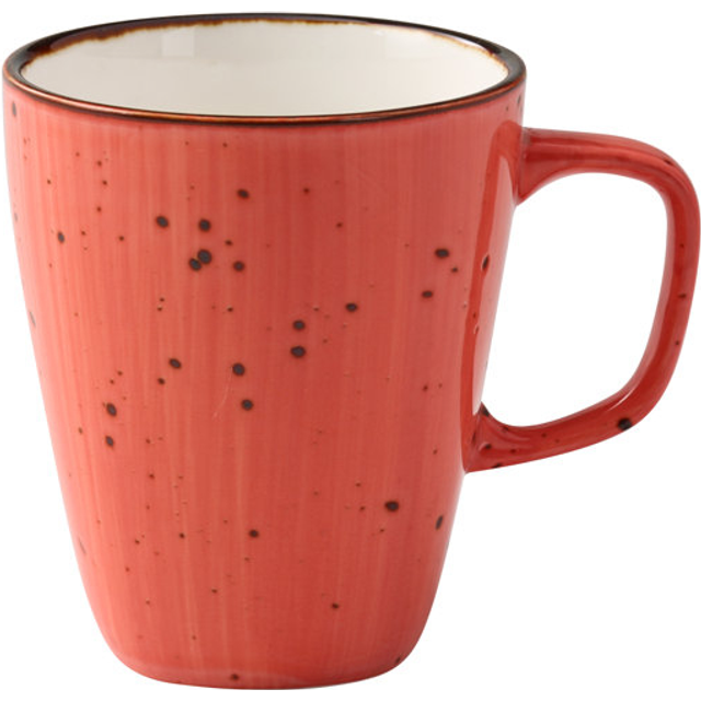 Yanco LY-503CR Lyon 10 oz Mug, Coral - 3.25 in. Dia. & 4 in. Height - Reactive Glaze - Pack of 36