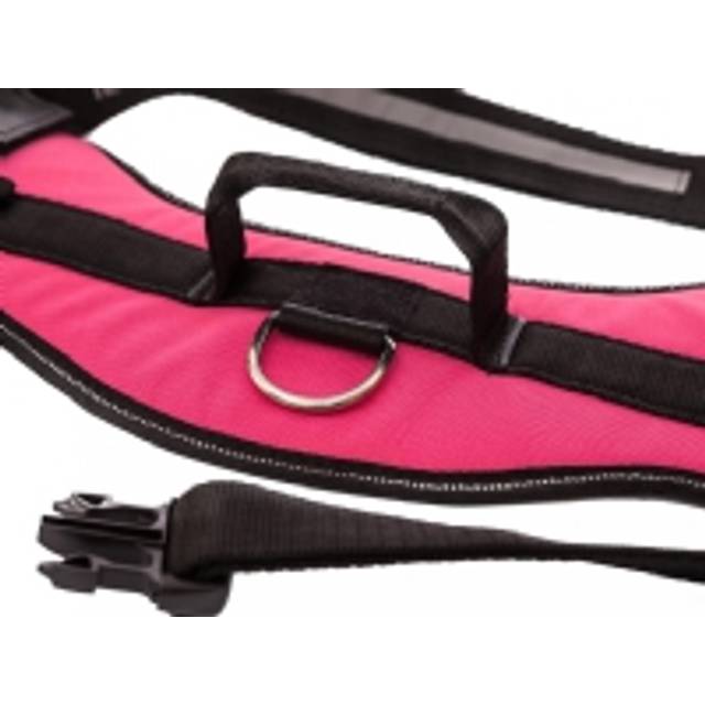Hobbydog R4 Julletta Rails