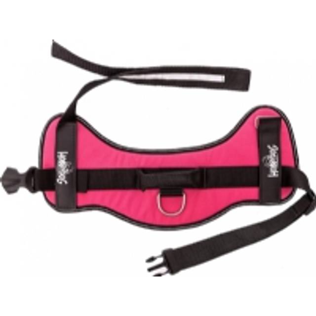 Hobbydog R5 Julletta Rails