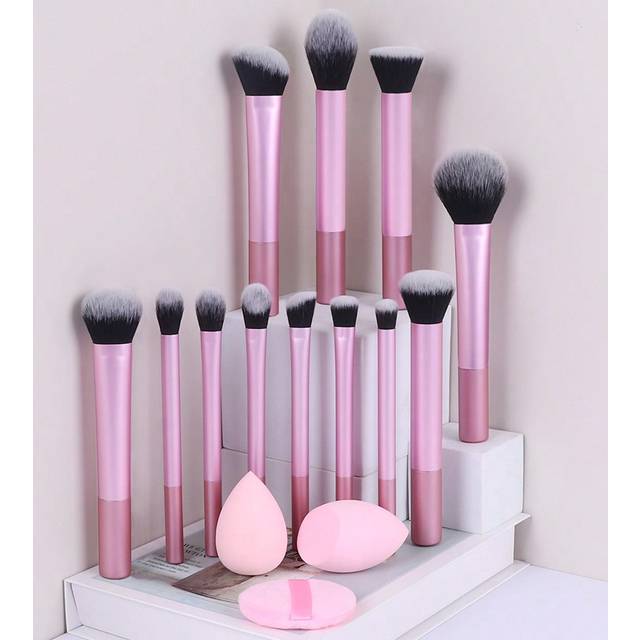 SHEIN 12pcs Makeup Brush Set - Powder, Blush, Foundation, Eyeshadow, Contour Brushes + Round & Sponge Makeup Applicators, Pink