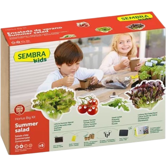 Sembra Kids Summer Salad Garden Growing Play Kit Traditional Garden Games