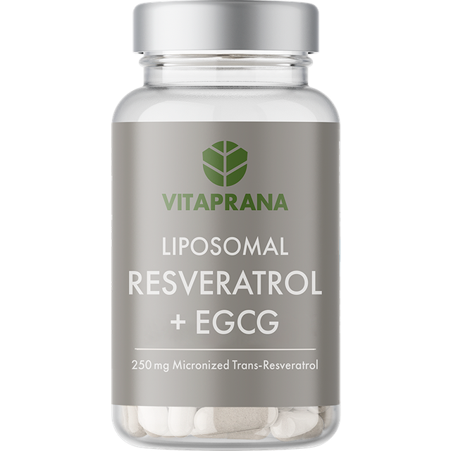 Resveratrol + EGCG 30 kapslar