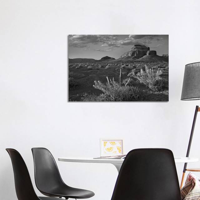 Miner's Candle flowers, Cathedral Wash, Vermilion Cliffs National Monument, Arizona - Wrapped Canvas (101.6 cm H x 66.04 cm W x 3.175 cm D)