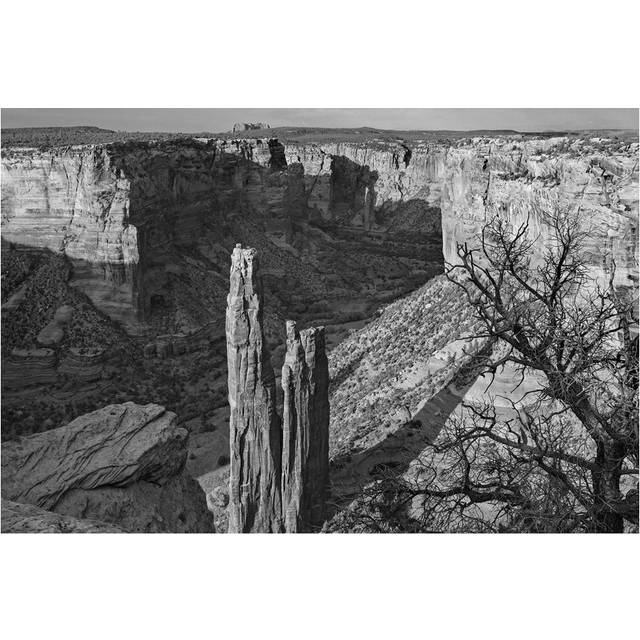 Spider Rock, Canyon De Chelley, Arizona by Tim Fitzharris - No Frame Gallery-Wrapped Canvas Giclée on Canvas - Black;White;Grey;Silver (20.32cm H x 30.48cm W)