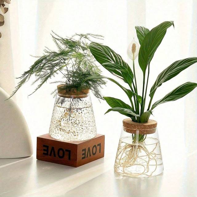 SHEIN Vintage-Inspired Glass Vase With Cork Stopper - Geometric Round Design For Hydroponic Plants, Perfect For Indoor/Outdoor Decor & Wedding Accents Gifts