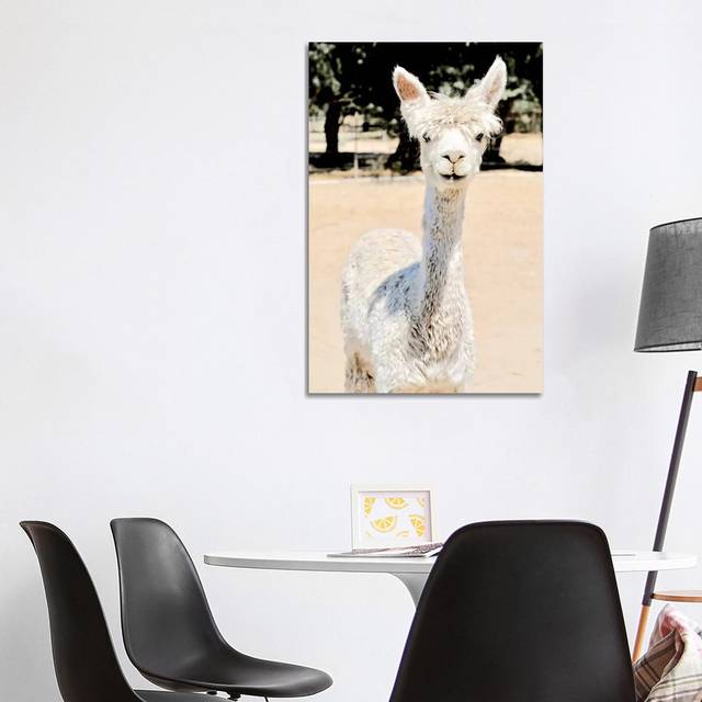 Extra White Alpaca by Susan Vizvary - No Frame Gallery-Wrapped Canvas Giclée on Canvas - Black;White;Cream;Tan;Swamp Green (101.6cm H x 66.04cm W)