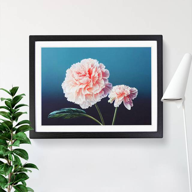 Wild Carnation Flowers - Picture Frame Graphic Art - Black Framed (34cm H x 46cm W x 2cm D)