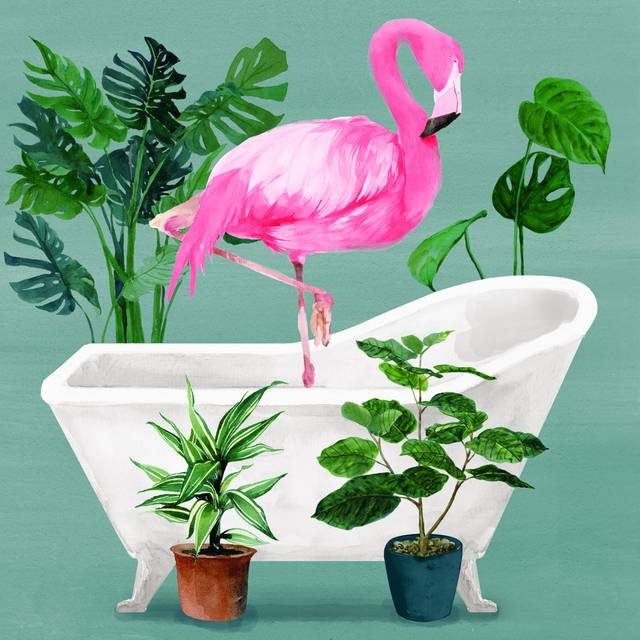 Flamingo in the Tub - Wrapped Canvas Art Prints (76cm H x 76cm W)