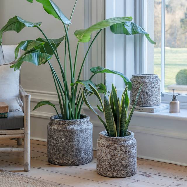 Kew Volcanic Texured Plant Pot - Grey