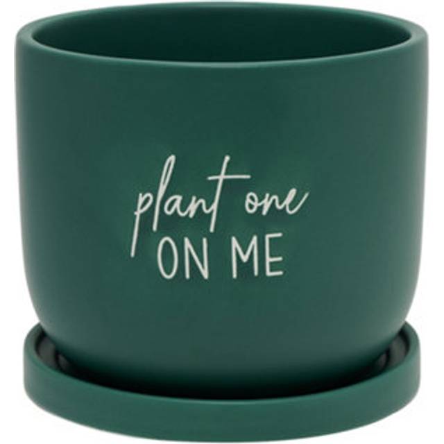 Green Planter Ceramic Saucer w/ Drainage Holes Plant One on Me Pots Cactus