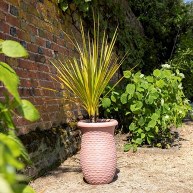 Rib Textured Fibrecotta Tall Round Planter In Dust Pink 44cm - One Size