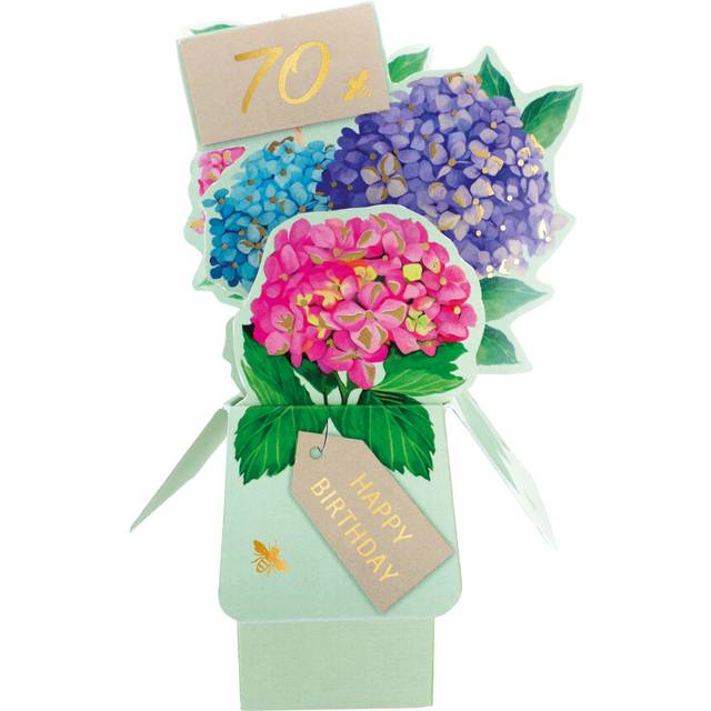 Second Nature Clever Cubes Hydrangeas 70th Birthday 3D Card