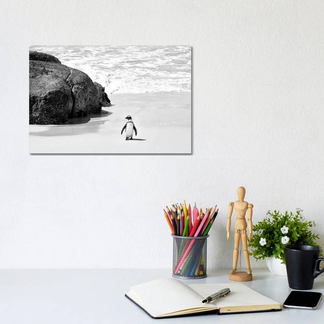 Penguin at Boulders Beach - Black;White;Grey;Silver;Gray (20.32cm H x 30.48cm W)