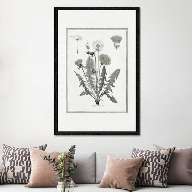 Dandelion I by Kelly Donovan - Gallery-Wrapped Canvas Giclée on Canvas - Black Framed (152.4cm H x 101.6cm W)