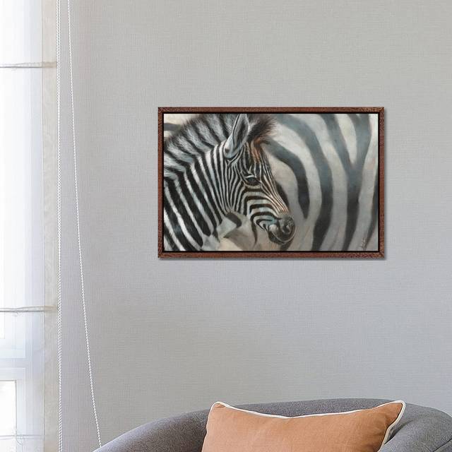 Zebra Foal by David Stribbling - Gallery-Wrapped Canvas Giclée on Canvas - Classic Wood Framed (45.72cm H x 66.04cm W x 3.81cm D)