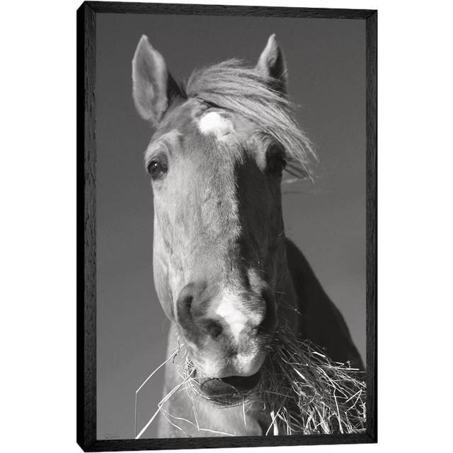 Feeding Time In Black And White by Sue Schlabach - Gallery-Wrapped Canvas Giclée on Canvas - Black Framed (66.04cm H x 45.72cm W x 3.81cm D)