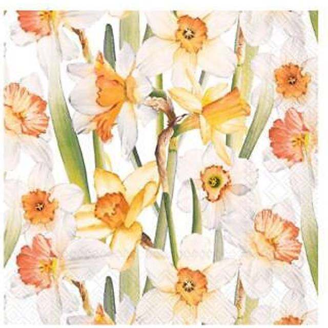 (Cocktail) Spring Daffodil Napkins Cocktail/Lunch Disposable