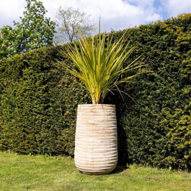 Tall Round Ribbed Terracotta Planter In Antique Cream 59cm - Beige - One Size