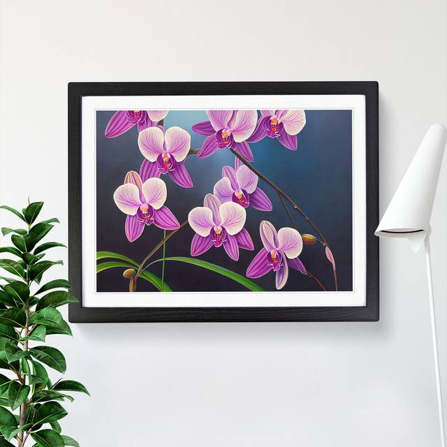 Sweet Orchid Flowers - Picture Frame Graphic Art - Black Framed (25cm H x 34cm W x 2cm D)
