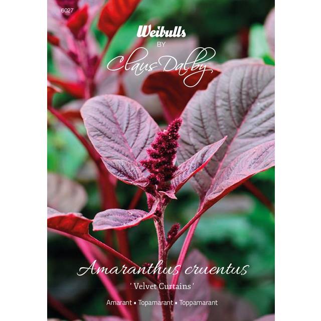 Weibulls Amarant, Velvet Curtains