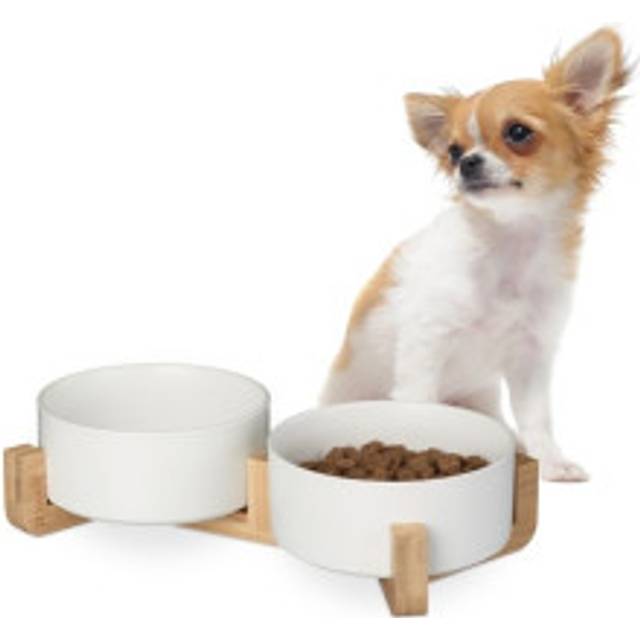 Ceramic dog bowl with bamboo frame