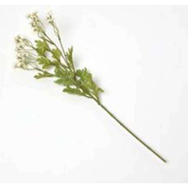 Homescapes Artificial Stem of Wild Daisy Flowers, 55 cm - White