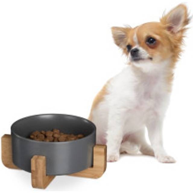 Ceramic dog bowl with bamboo frame