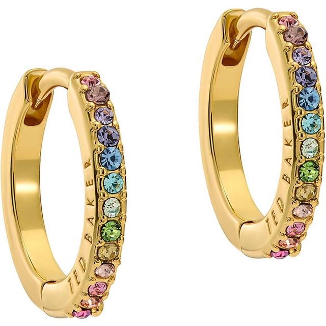 Ted Baker Heplie Crystal Hoop Earrings (14mm outside diameter) For Women (Gold/Rainbow Pastel Crystal)