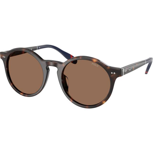 Polo Ralph Lauren Man PH4204U 567373 Solglasögon Acetat Sköldpadda Brun Pantor Normal