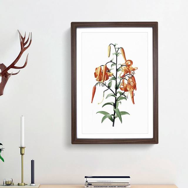 Tiger Lily Flowers by Pierre-Joseph Redoute - Picture Frame Painting Print - Walnut Framed (36cm H x 27cm W x 2cm D)