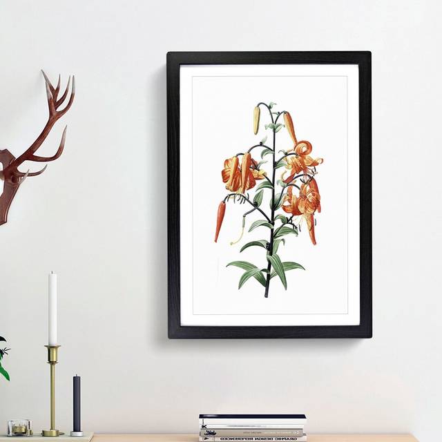 Tiger Lily Flowers by Pierre-Joseph Redoute - Picture Frame Painting Print - Black Framed (65cm H x 48cm W x 2cm D)