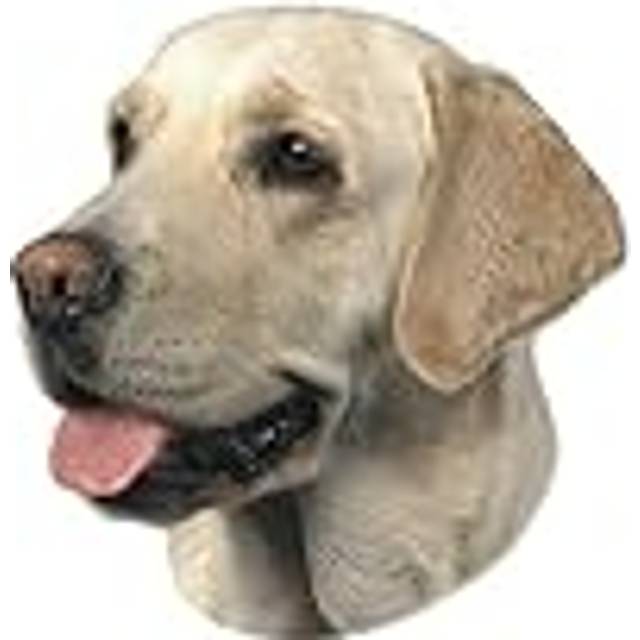 Nobby Sticker Labrador Light