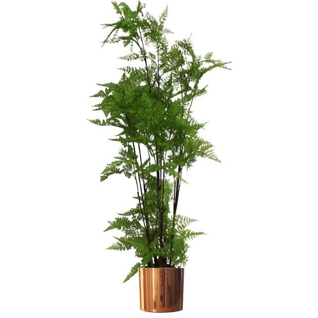 Leaf - 150cm Artificial Natural Extra Large Fern Foliage Plant with Copper Metal Plater