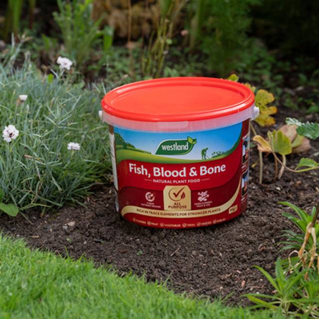 Westland - Fish Blood & Bone All Purpose Natural Plant Food 8kg Tub Stronger Plant
