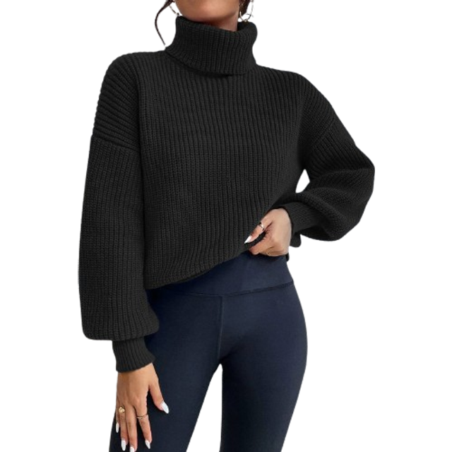 Chiquease Rib-knit Turtleneck Drop Shoulder Jumper