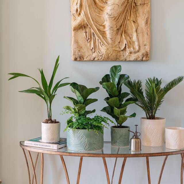 Kew Stoneware Sago Palm Bowl Ivory 24Cm - One Size