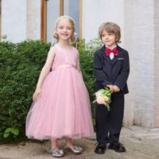 SHEIN Young Girl Elegant And Birthday Party V-Neck Satin Back Bowknot Tulle Sleeveless Fluffy Dress With Net, Flower Girl Dress