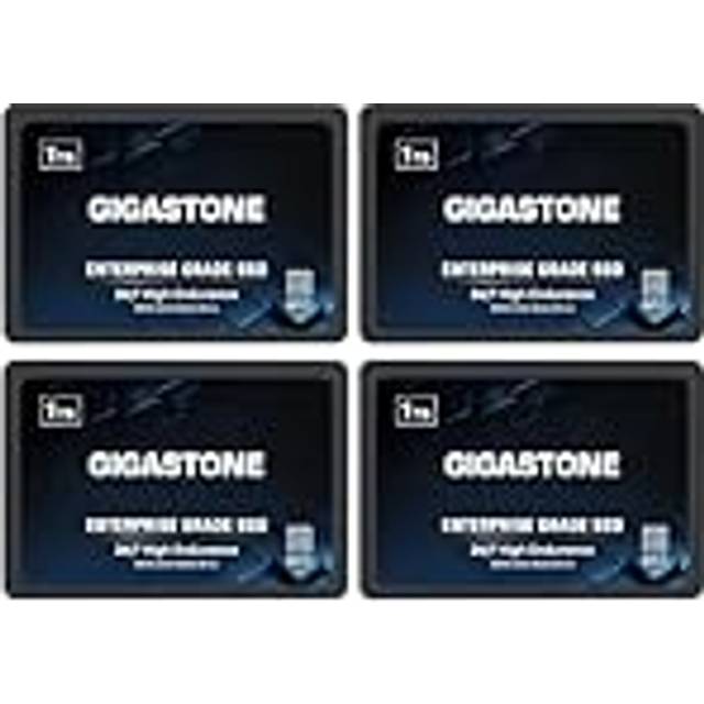 Gigastone Enterprise SSD 1TB NAS SSD Drive Cache (4-Pack) 24/7 Durable TLC High Endurance Business Server Data Center RAID Network Attached