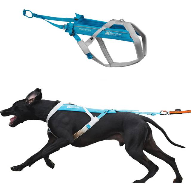Freemotion Harness 5.0 Exclusive Blue Color - 8