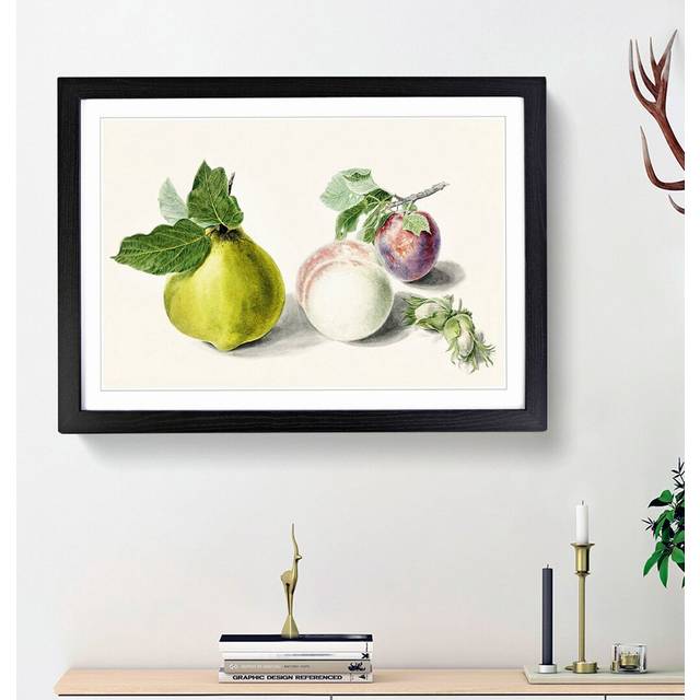 Pear & Plum by E.G. Van De Kasteele - Picture Frame Painting Print - Black Framed (48cm H x 65cm W x 2cm D)