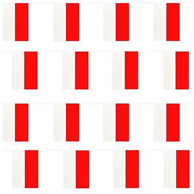 Poland euro football 2025 country bunting 33ft large flag decoration 20 flags