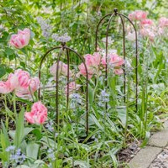 Ivyline Outdoor Pot Plant Support Bronze H75cm D26cm, Multi