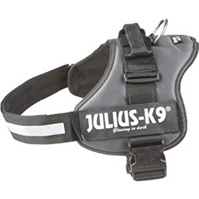 K9 Kraftsele, Storlek: L/1, Antracit