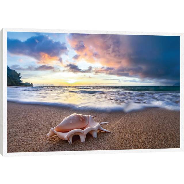 Shell Sea Drops - White Floater Framed (66.04 cm H x 45.72 cm W)