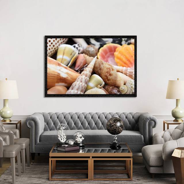 Tropical Shell Still-Life by Savanah Plank - Floater Frame Rectangle Print on Canvas - Black Framed (101.6cm H x 152.4cm W)