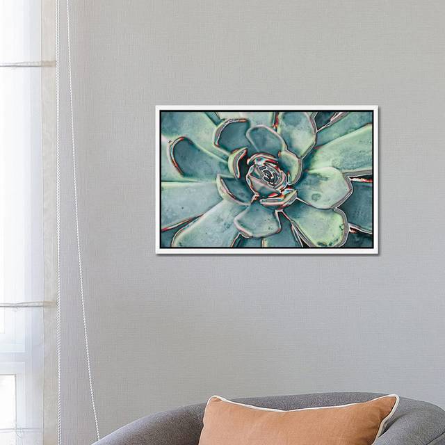 Teal Succulent by Susan Bryant - Gallery-Wrapped Canvas Giclée on Canvas - White Framed (45.72cm H x 66.04cm W x 3.81cm D)