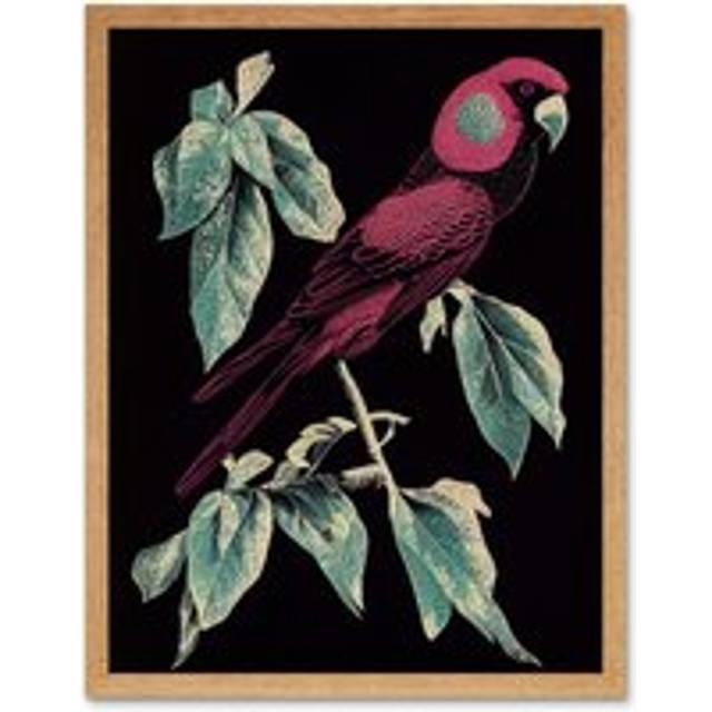 Wall Art Print Burgundy Parakeet Retro Modern Vintage Tropical Jungle Art Framed - Tan - W12 inch x H16 inch